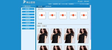 網頁與網站設計 從創(chuàng)意到體驗的全方位指南